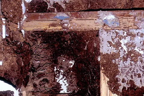 Termite damage in a house timber