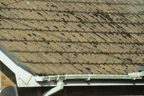 Roof tiles and rain gutter